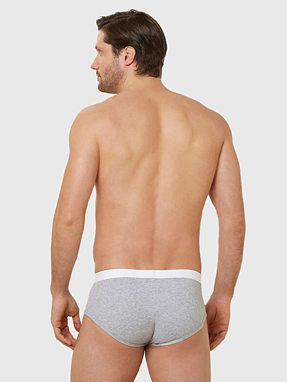DAILY RIB briefs - 2