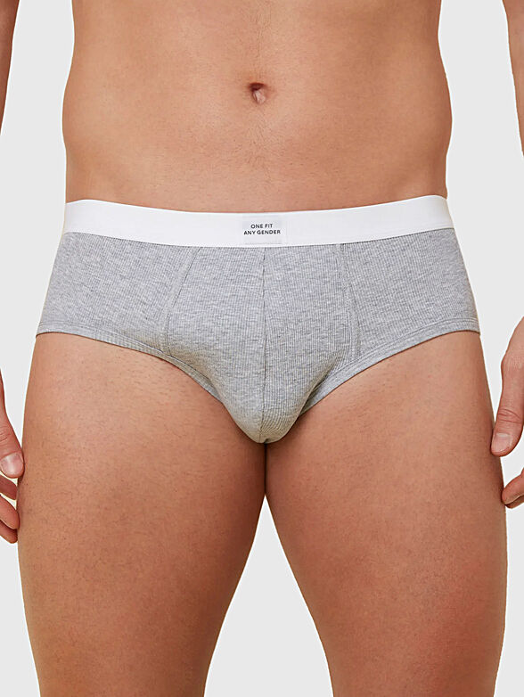 DAILY RIB briefs - 1