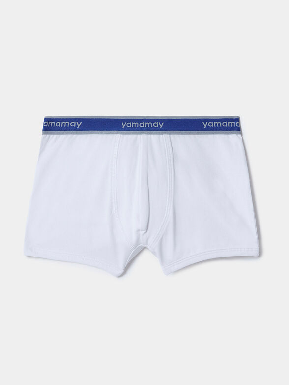 NEW FASHION COLOR set of two pairs of trunks - 1